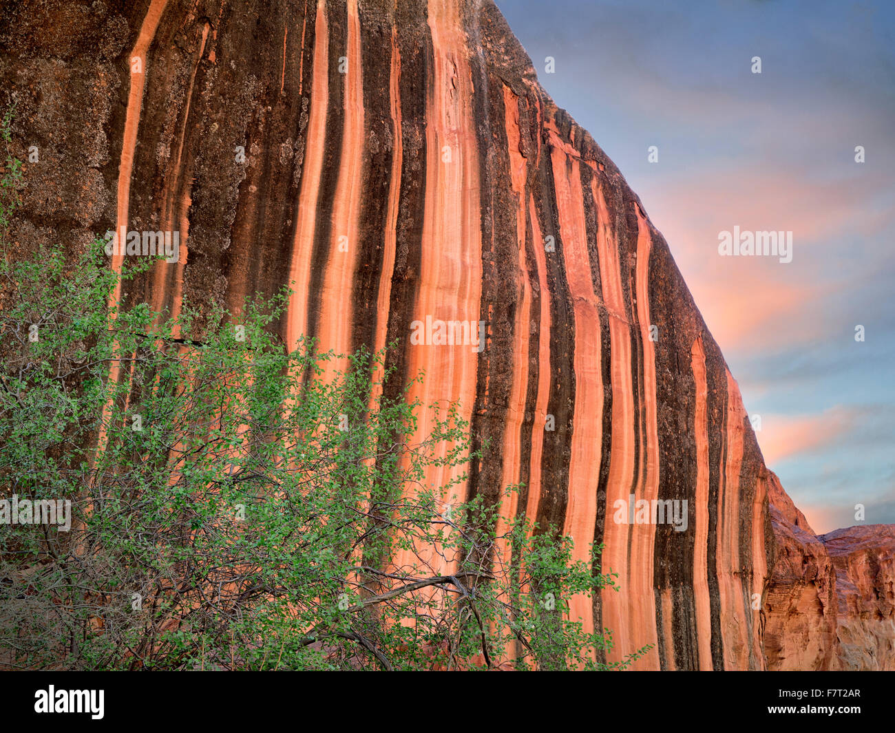Wüste Lack Felsformation am Capitol Reef National Park, Utah Stockfoto