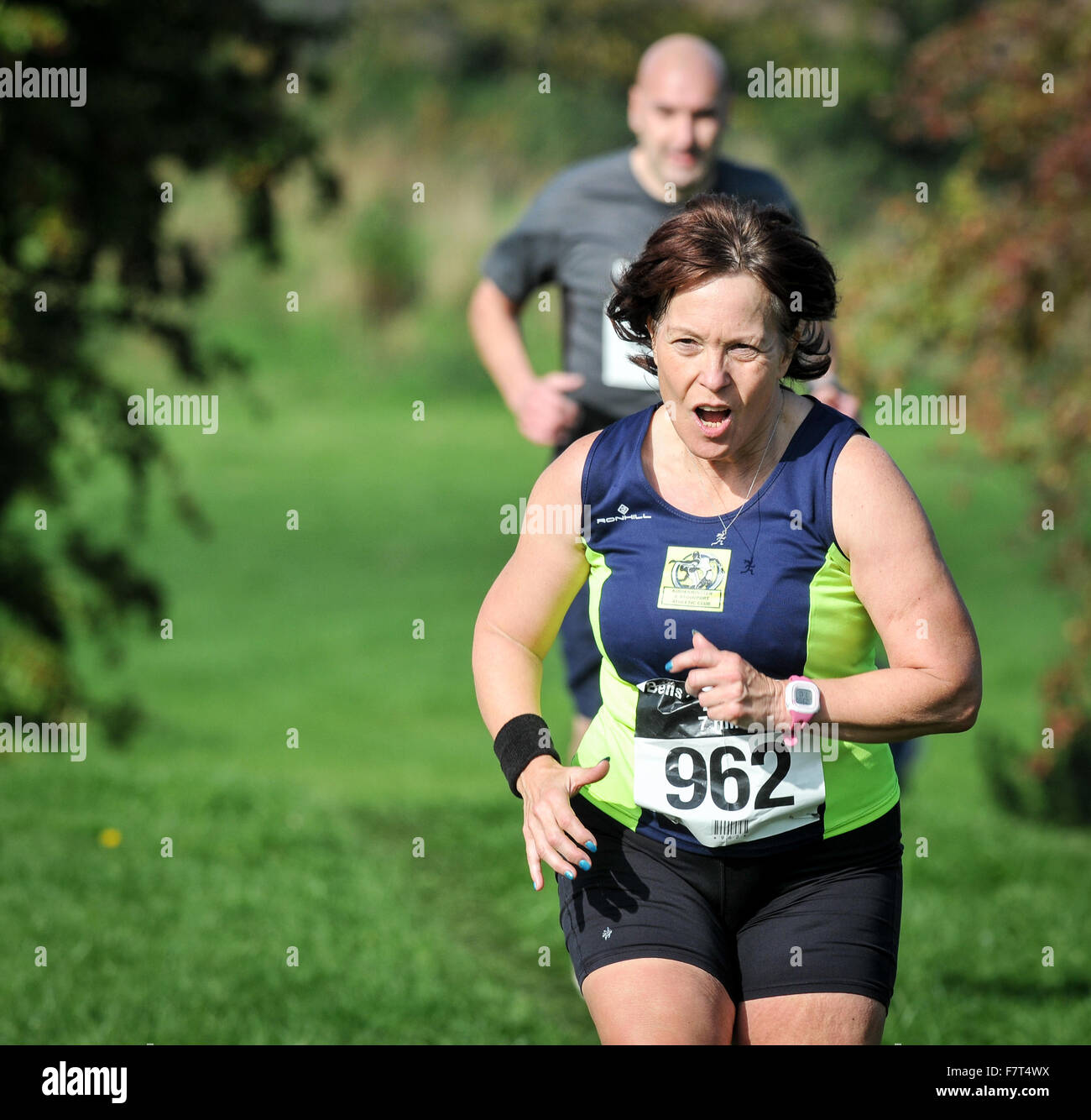 Pattingham Glocken laufen 2015 in der Nähe der Ziellinie der 7 Mile cross Country Lauf statt in Pattingham, Codsall, Staffordshire, UK Stockfoto