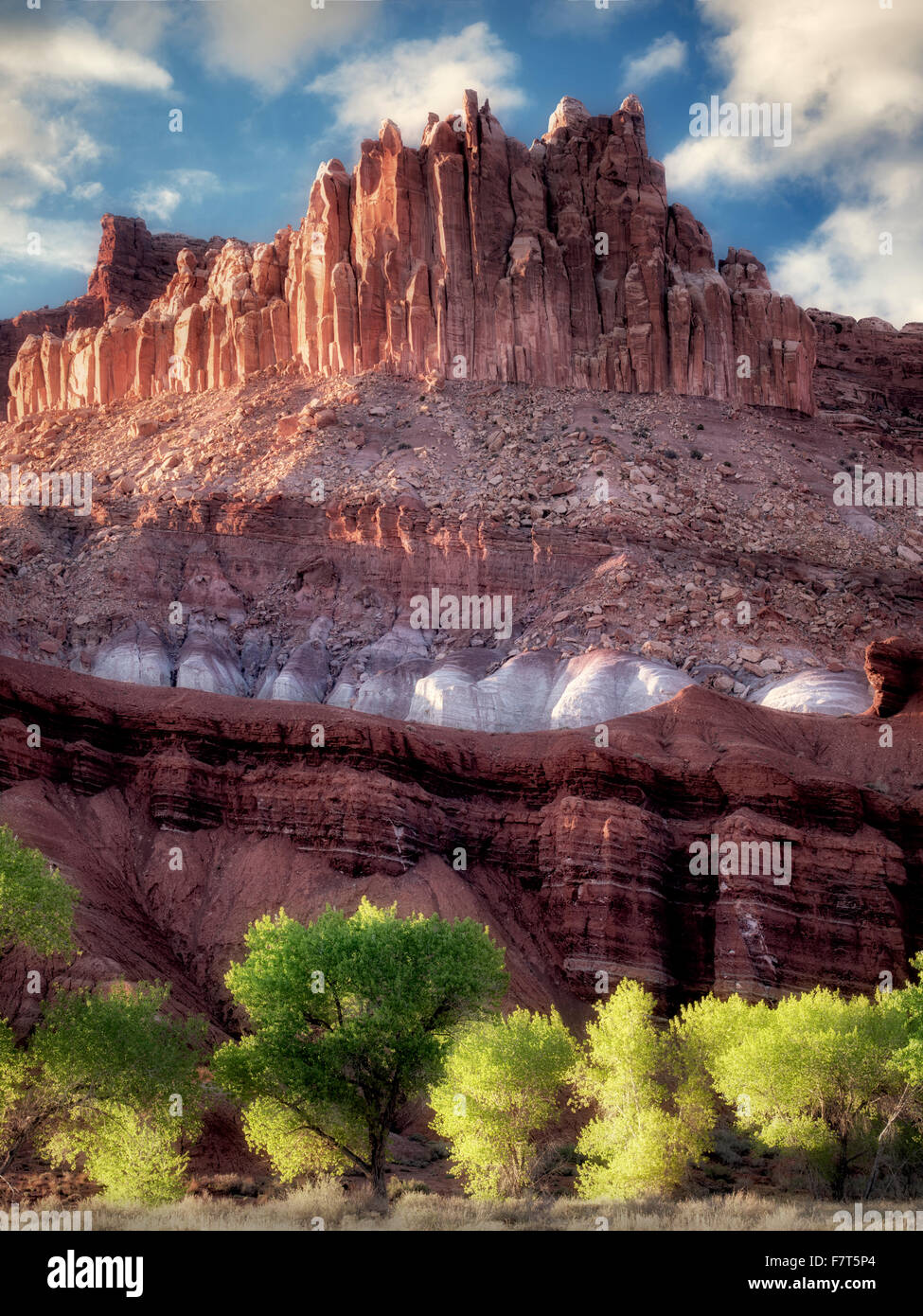 Das Schloss mit Pappeln mit neuen Frühling Wachstum. Fruita, Capitol Reef National Park, Utah Stockfoto