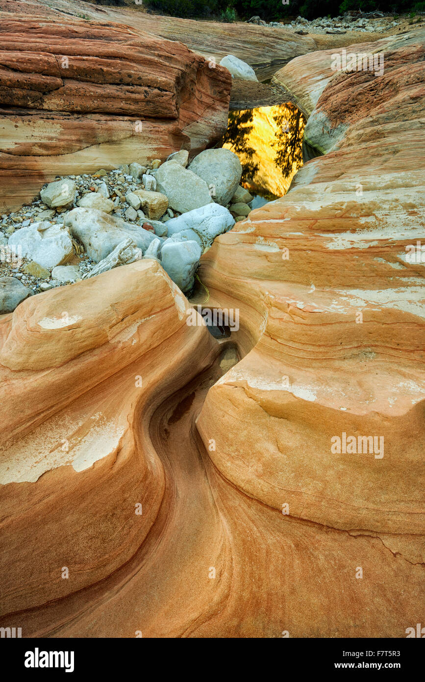 Sandstein-Felsformation mit Lache des Wassers sich Berge spiegeln. Zion Nationalpark, Utah Stockfoto