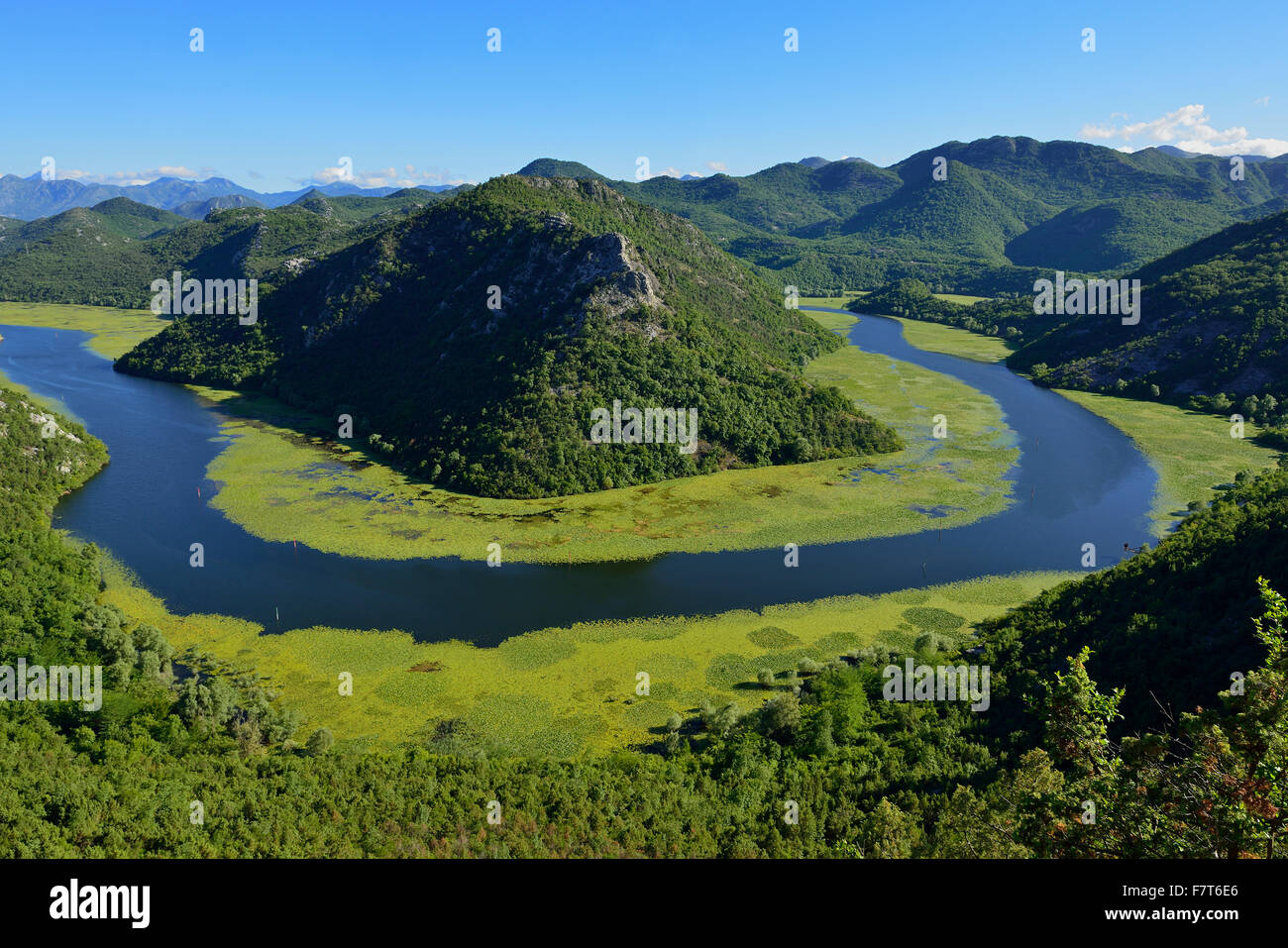 Big Bend in Fluss, Rijeka Crnojevica, Skadar See Nationalpark, Scutari, Crna Gora, Montenegro, Balkan Stockfoto