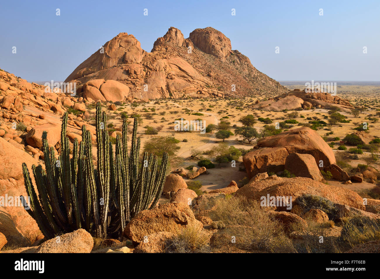 Blick auf Zuckerhut in der Nähe von Spitzkoppe, Grootspitzkop, Provinz Erongo, Namibia Stockfoto