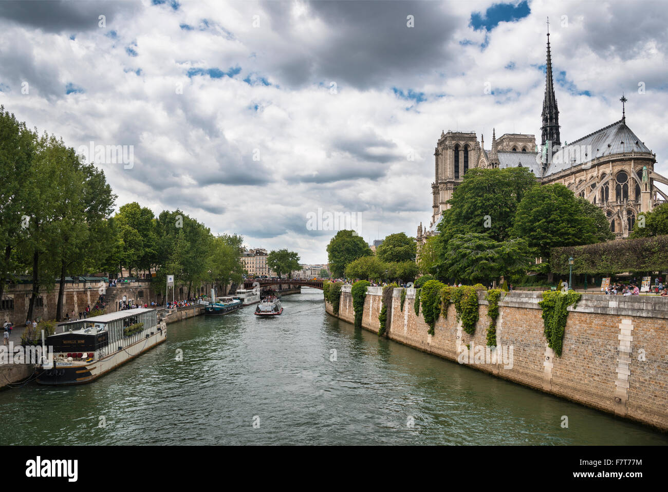 Hausboote auf der Seine, Kathedrale Notre-Dame, Paris, Frankreich Stockfoto