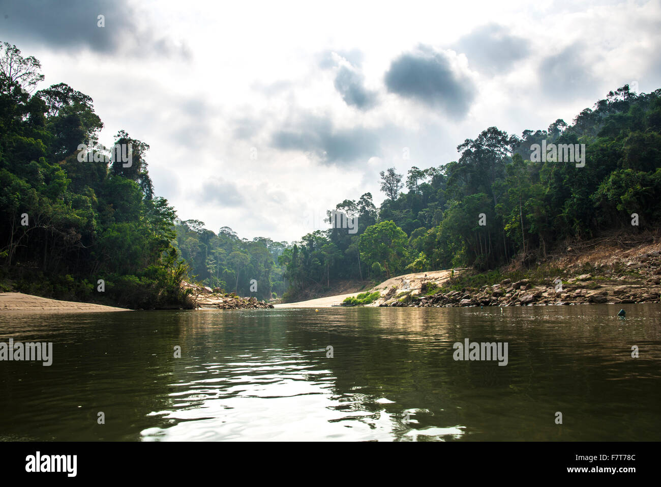 Tembeling Fluss Regenwald Dschungel Kuala Tahan Taman Negara Malaysia Stockfotografie Alamy