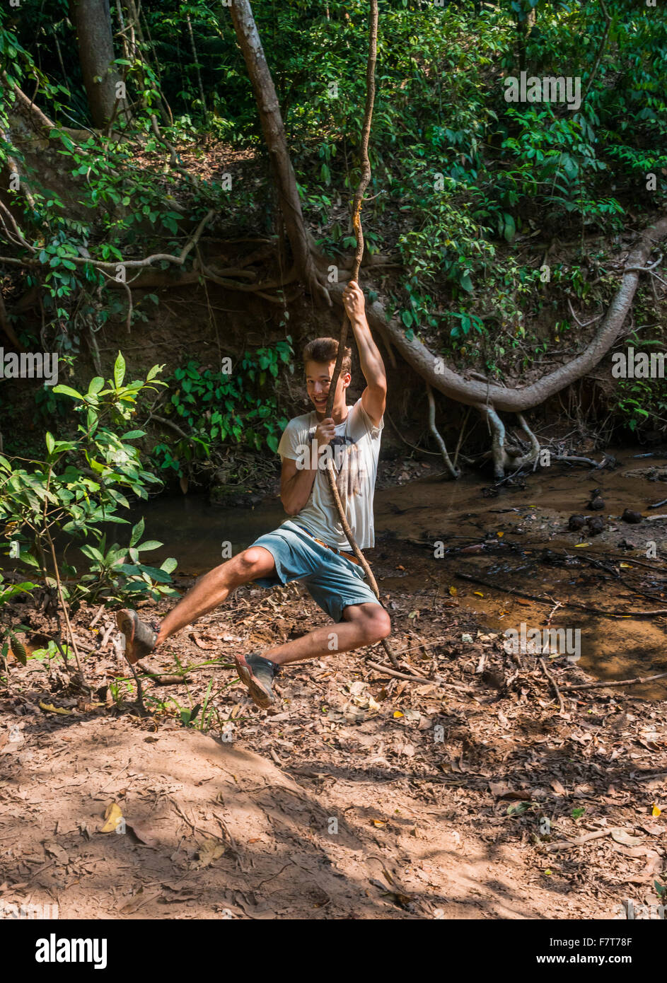 Junger Mann, touristischen Schwingen auf einem Weinstock im Dschungel, tropischen Regen Wald, Taman Negara Malaysia Stockfoto