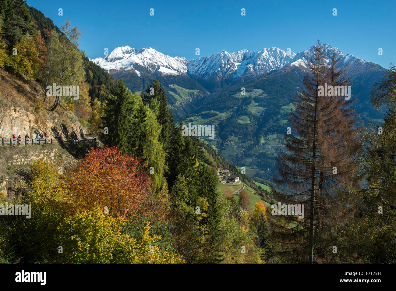 Herbstlandschaft in den Bergen von Südtirol, Provinz Trentino, Südtirol, Italien Stockfoto