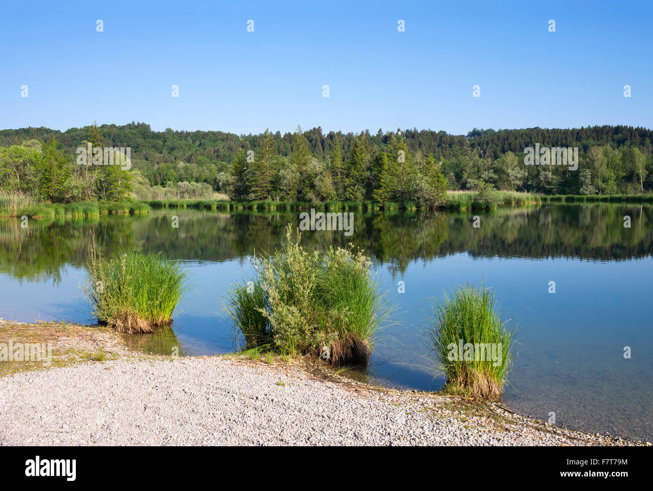 Ickinger Reservoir in der Natur Reserve Isarauen mit der Kirche von Icking, Pupplinger Au, obere Bayern, Bayern, Deutschland Stockfoto