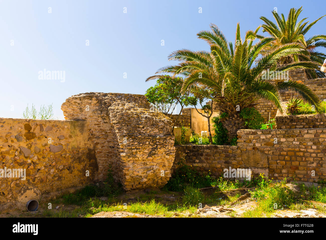 Carthage Ruinen in Tunesien Stockfoto