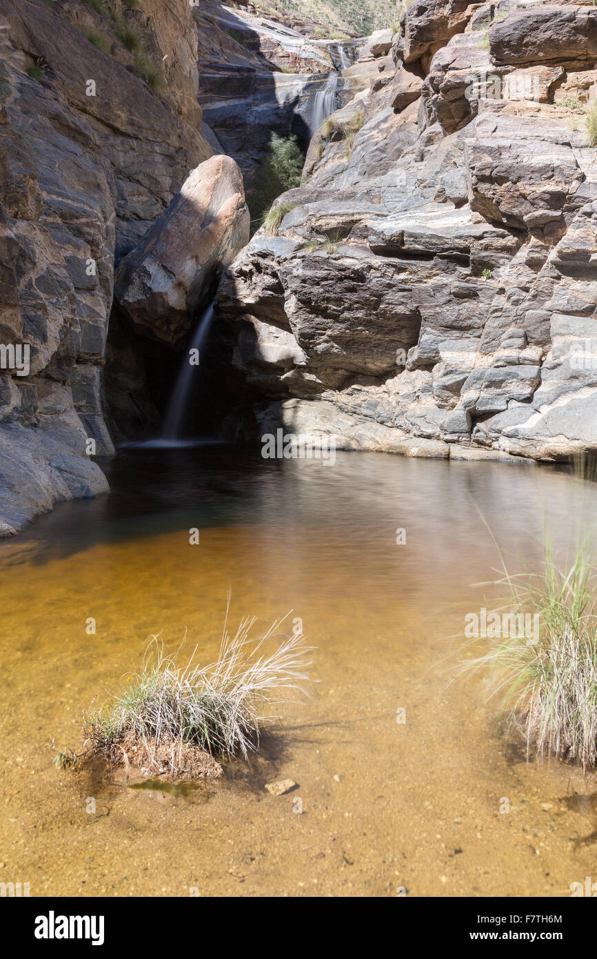 Sieben Wasserfälle in Bear Canyon, Pusch Ridge Wilderness, Arizona Stockfoto