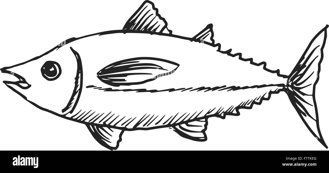 Thunfisch Stock Vektor