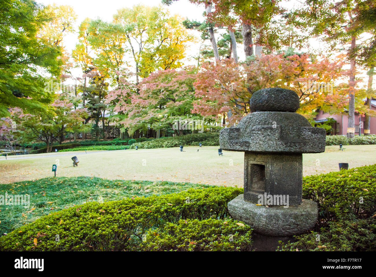 Herbstfarben, Otaguro Park, Suginami-Ku, Tokyo, Japan Stockfoto