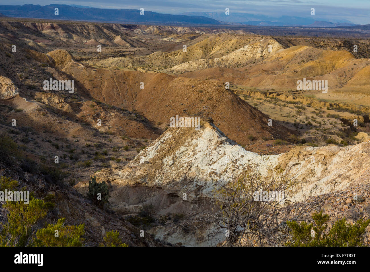 Badlands in Big Bend Nationalpark, Texas Stockfoto