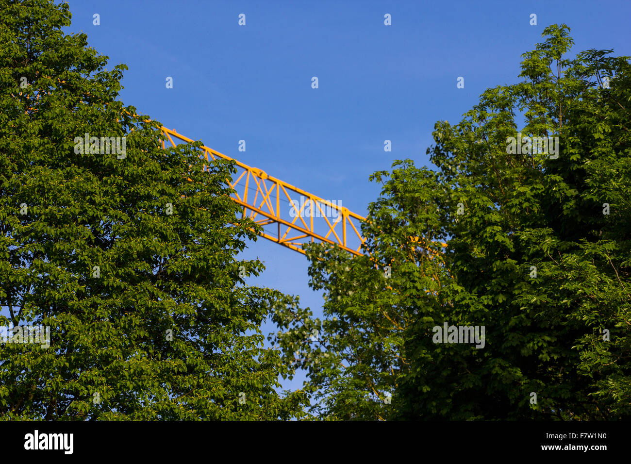 Gelbem Kranich sitzen hinter Bäumen in Ettlingen Stockfoto