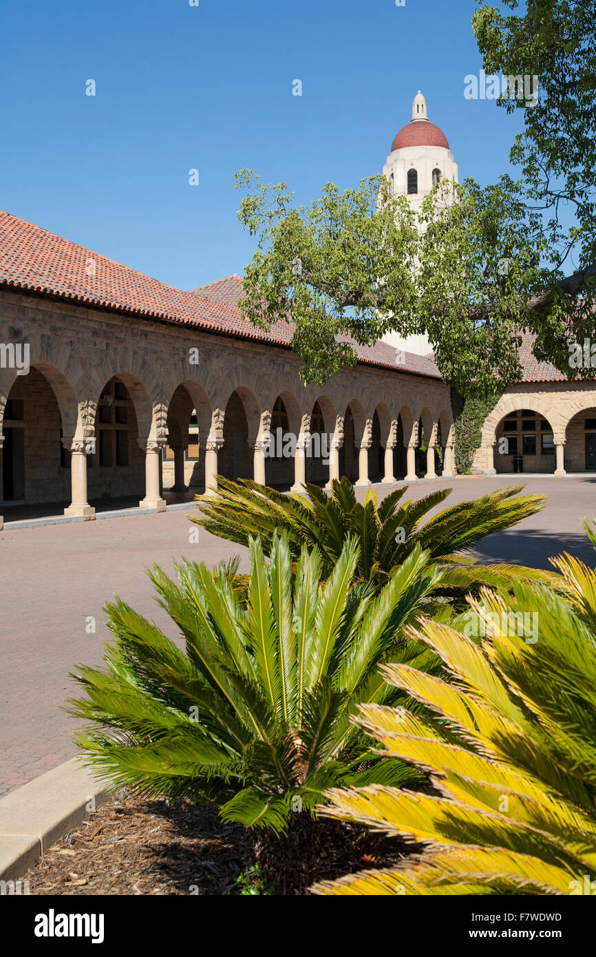 USA, California, Palo Alto, Stanford University Campus, dem Quad, Hoover Tower Stockfoto