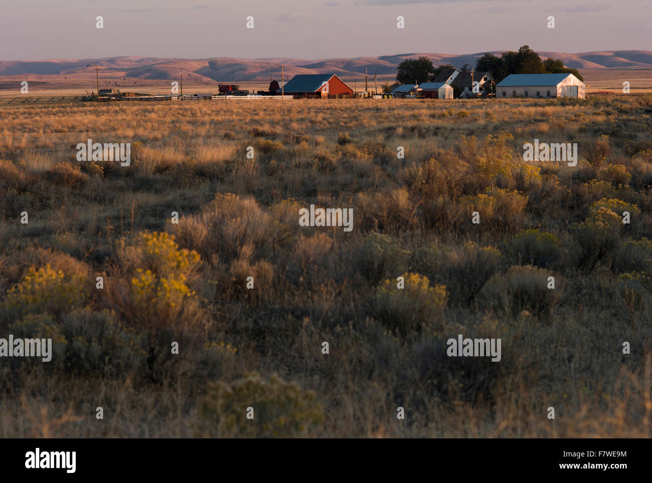 Bauernhof, Ost-Oregon, Oregon, Vereinigte Staaten Stockfoto