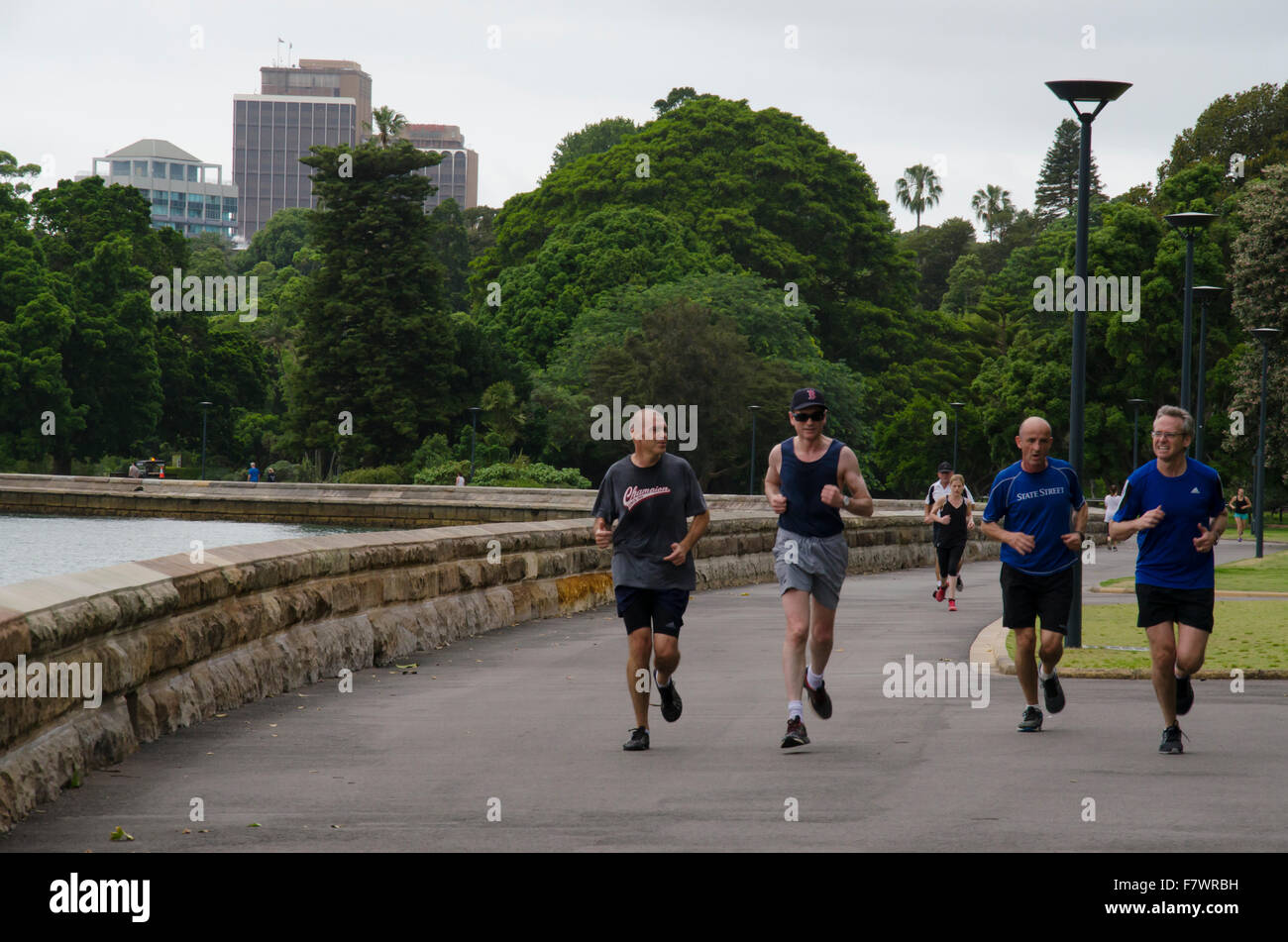 Menschen (Männer mittleren Alters), die durch die Royal Botanic Gardens neben dem Hafen von Sydney in Australien laufen Stockfoto