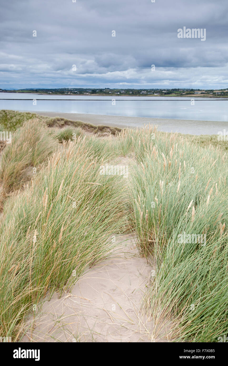 Rossbeigh Strand und Halbinsel Dingle, County Kerry; Irland Stockfoto