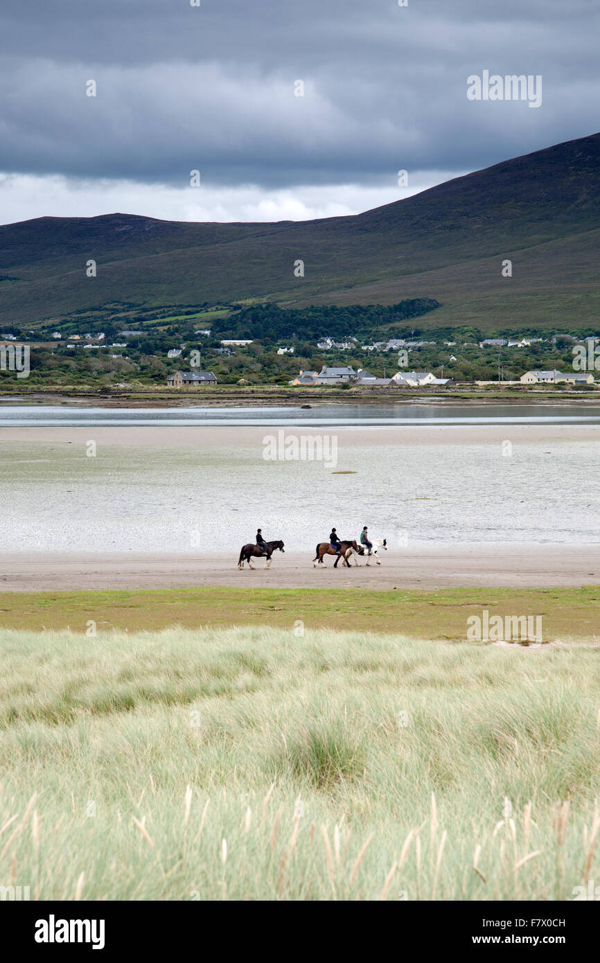 Reiten am Rossbeigh Strand, County Kerry; Irland Stockfoto