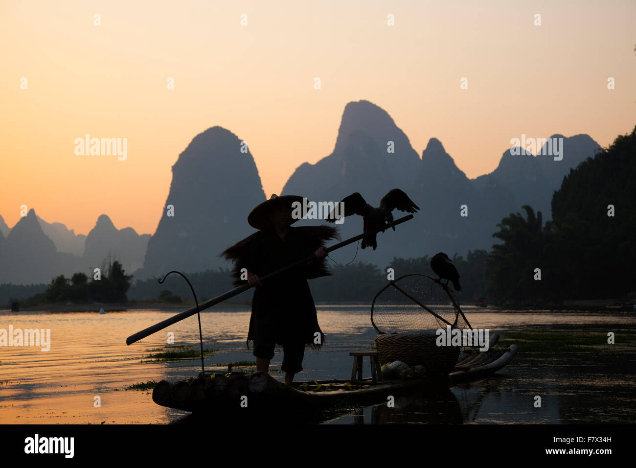 Kormoran Fischer am Fluss Li Guilin Region Guangxi, China LA008354 Stockfoto