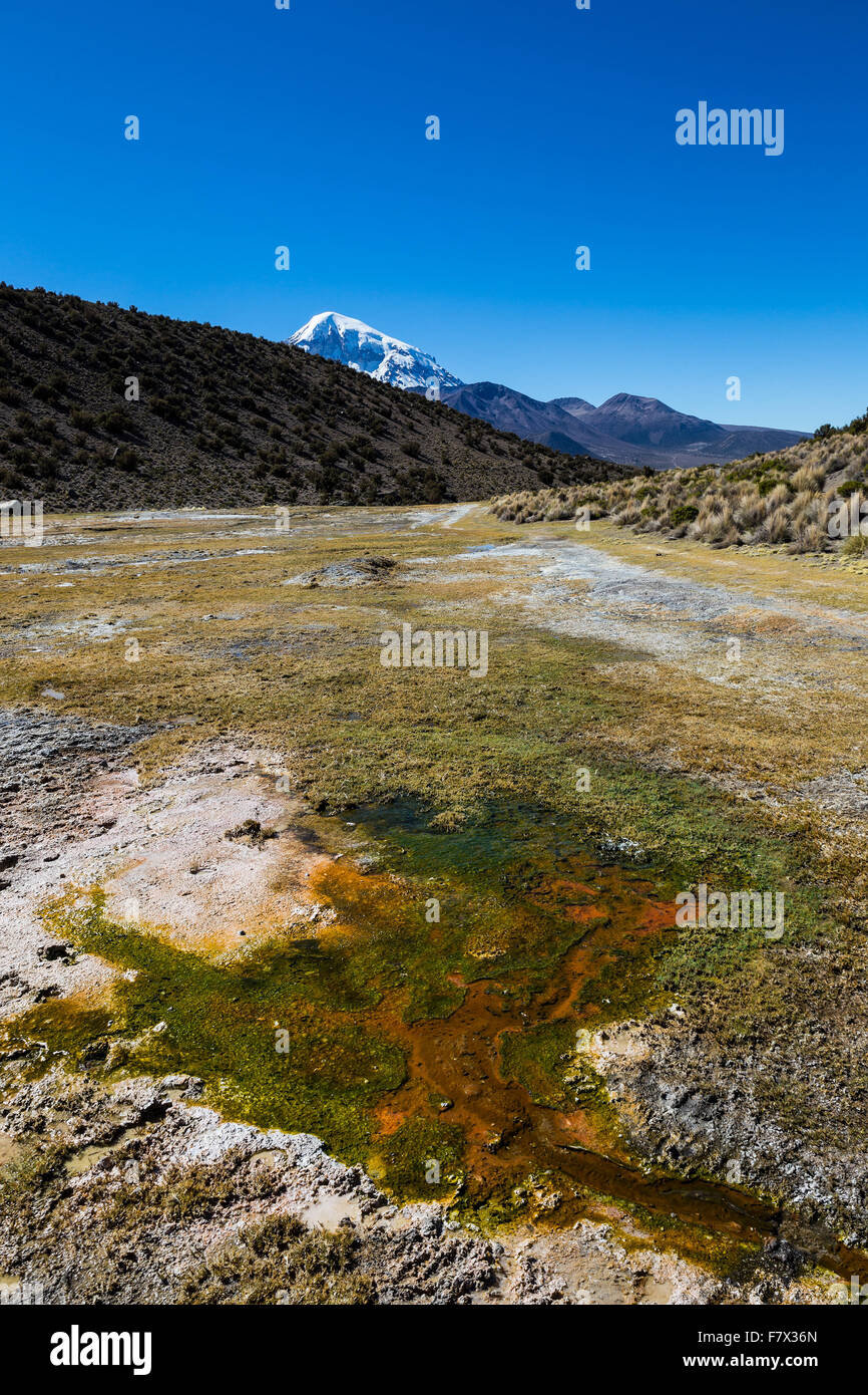 Anden Geysire. Junthuma-Geysire, durch geothermische Aktivität gebildet. Bolivien. Die Thermalbecken ermöglichen eine gesunde und heilende Bad f Stockfoto