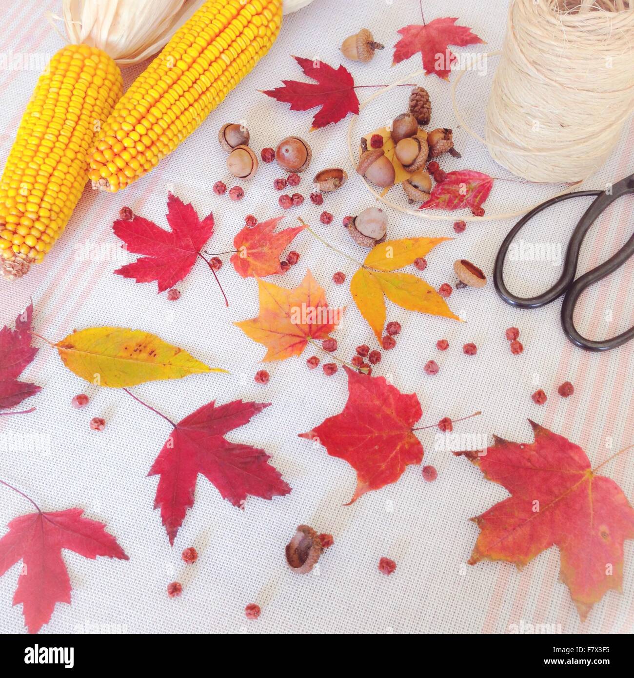 Herbst Anordnung der Ahorn-Blätter, Eicheln, Mais Maiskolben, Schnur und Schere Stockfoto