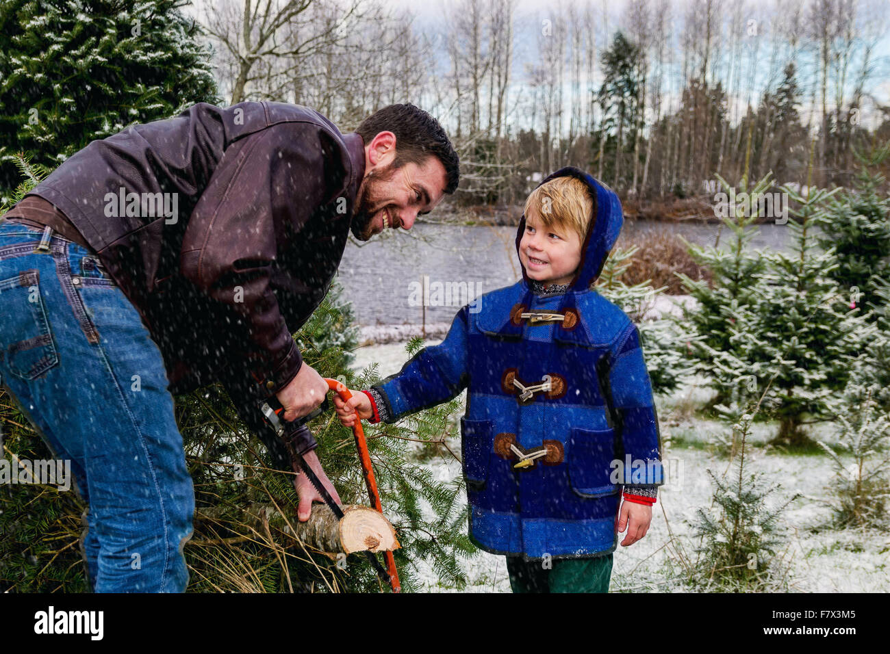 Junge half Vater Weihnachten Baum zu Fällen Stockfoto