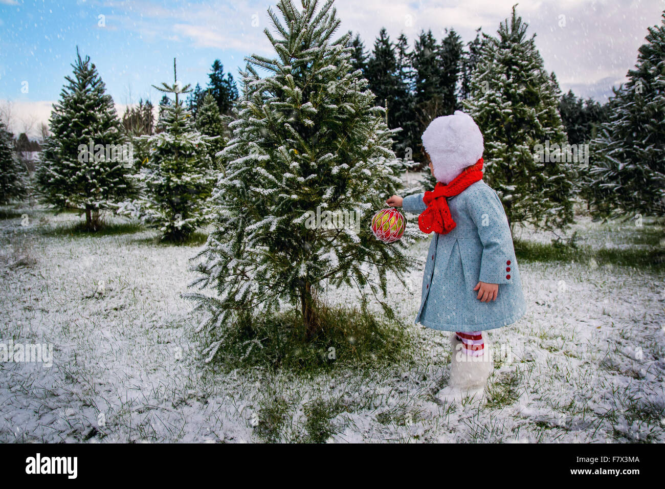 Mädchen hängt Weihnachtsdekoration auf einem Baum draußen im Schnee Stockfoto