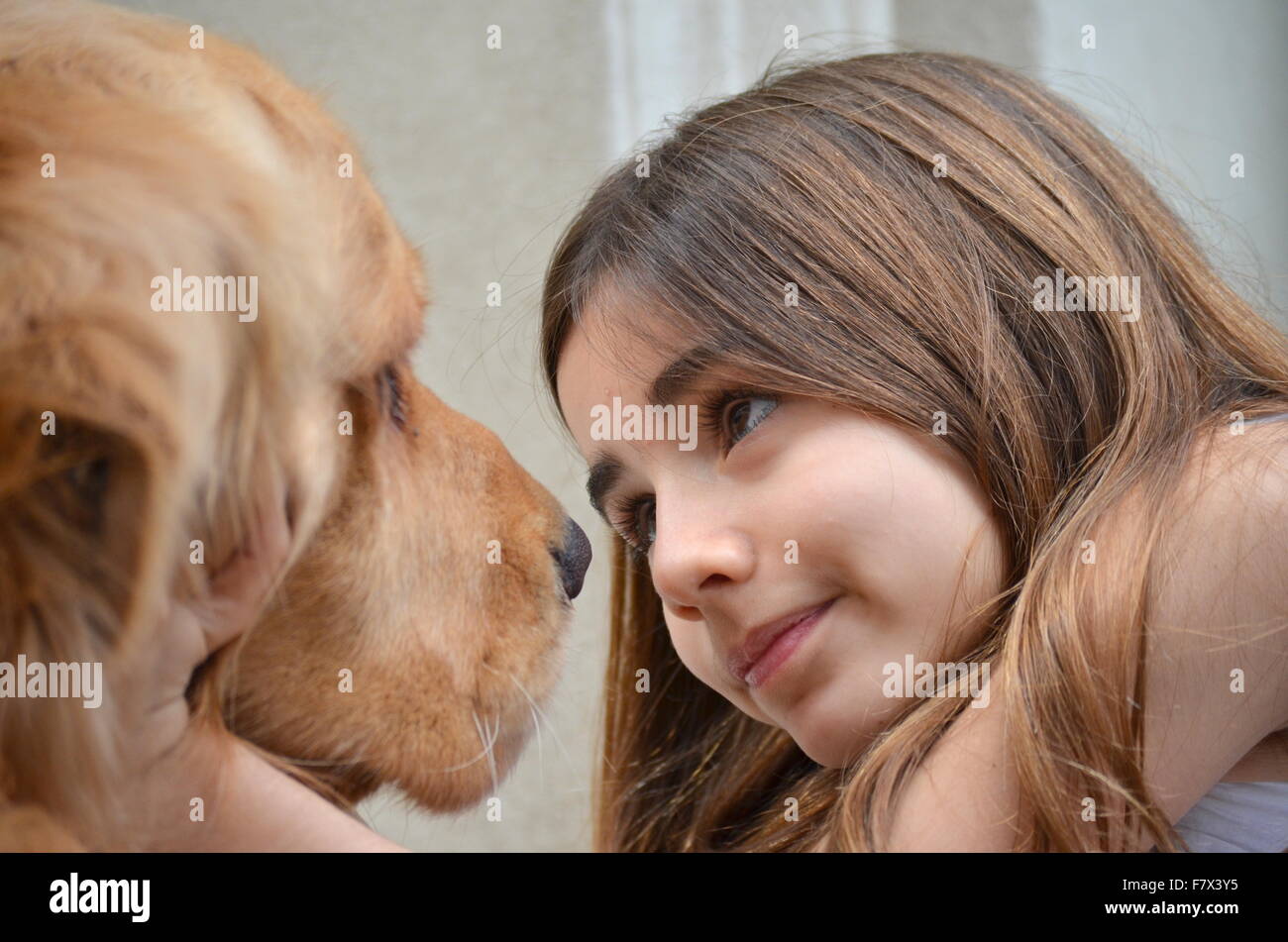 Mädchen betrachten ihre golden Retriever Hund Stockfoto