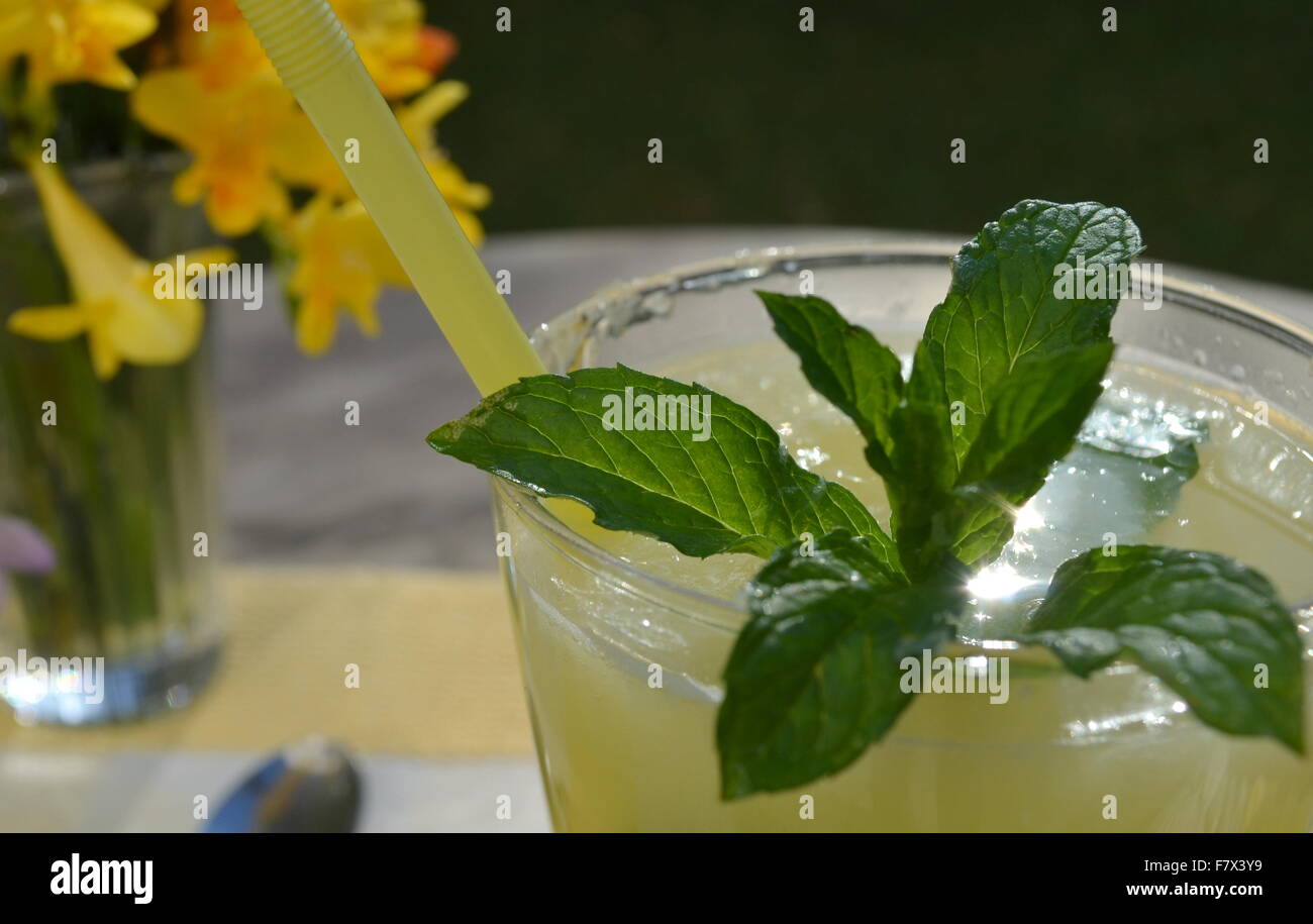 Glas frische Limonade mit Minze Stockfoto