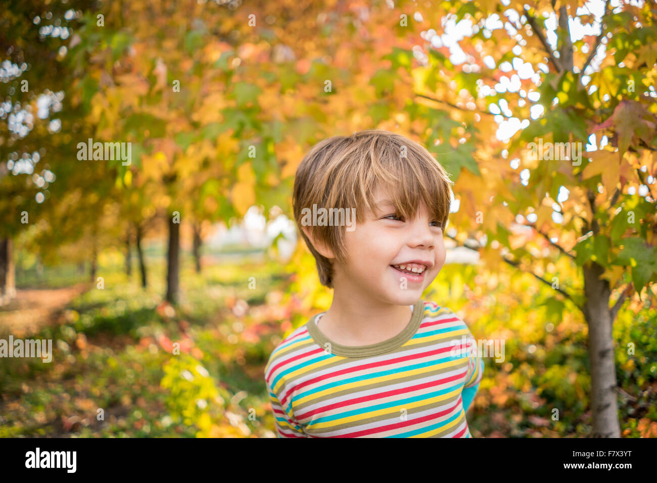Portrait eines lächelnden jungen auf dem Land Stockfoto