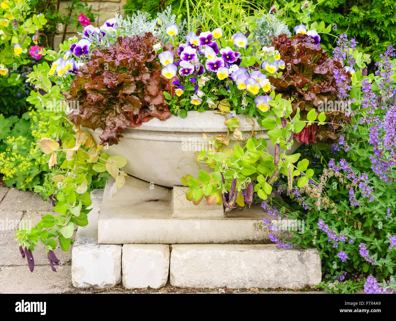 Blumenarrangement in einem konkreten Blumenkasten Stockfoto