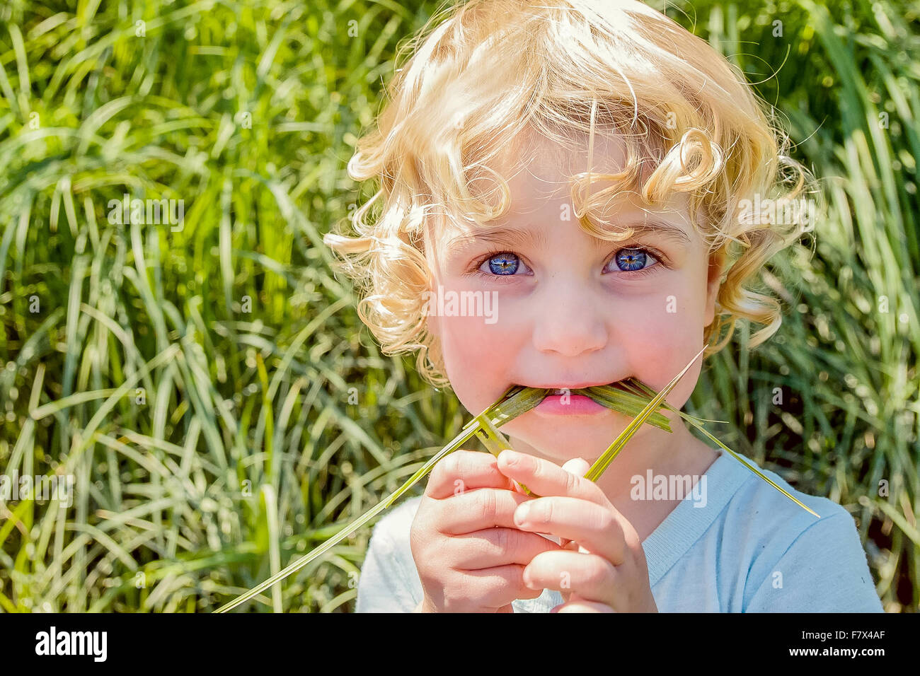 Mädchen essen grass Stockfoto