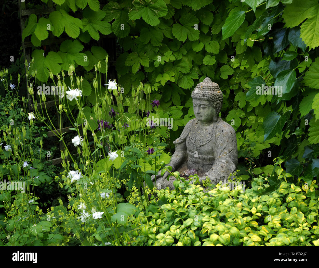 Buddhistischer garten Fotos und Bildmaterial in hoher Auflösung Alamy