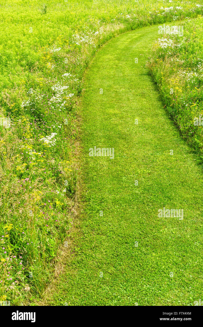 Weite grüne Kurvengang in Prärie bewahren, Illinois, USA Stockfoto