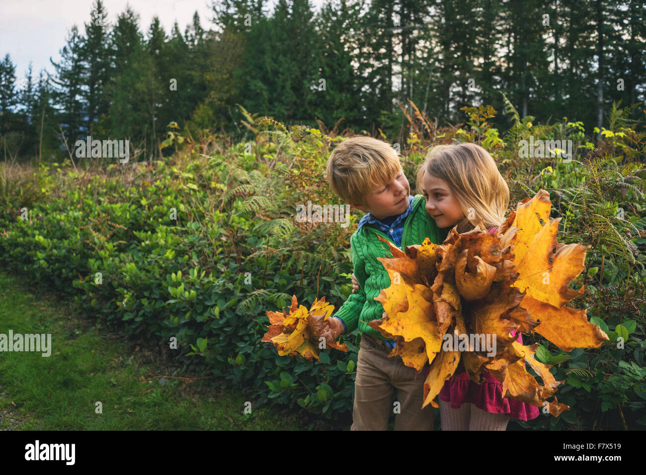 Jungen und Mädchen mit Herbstlaub Stockfoto
