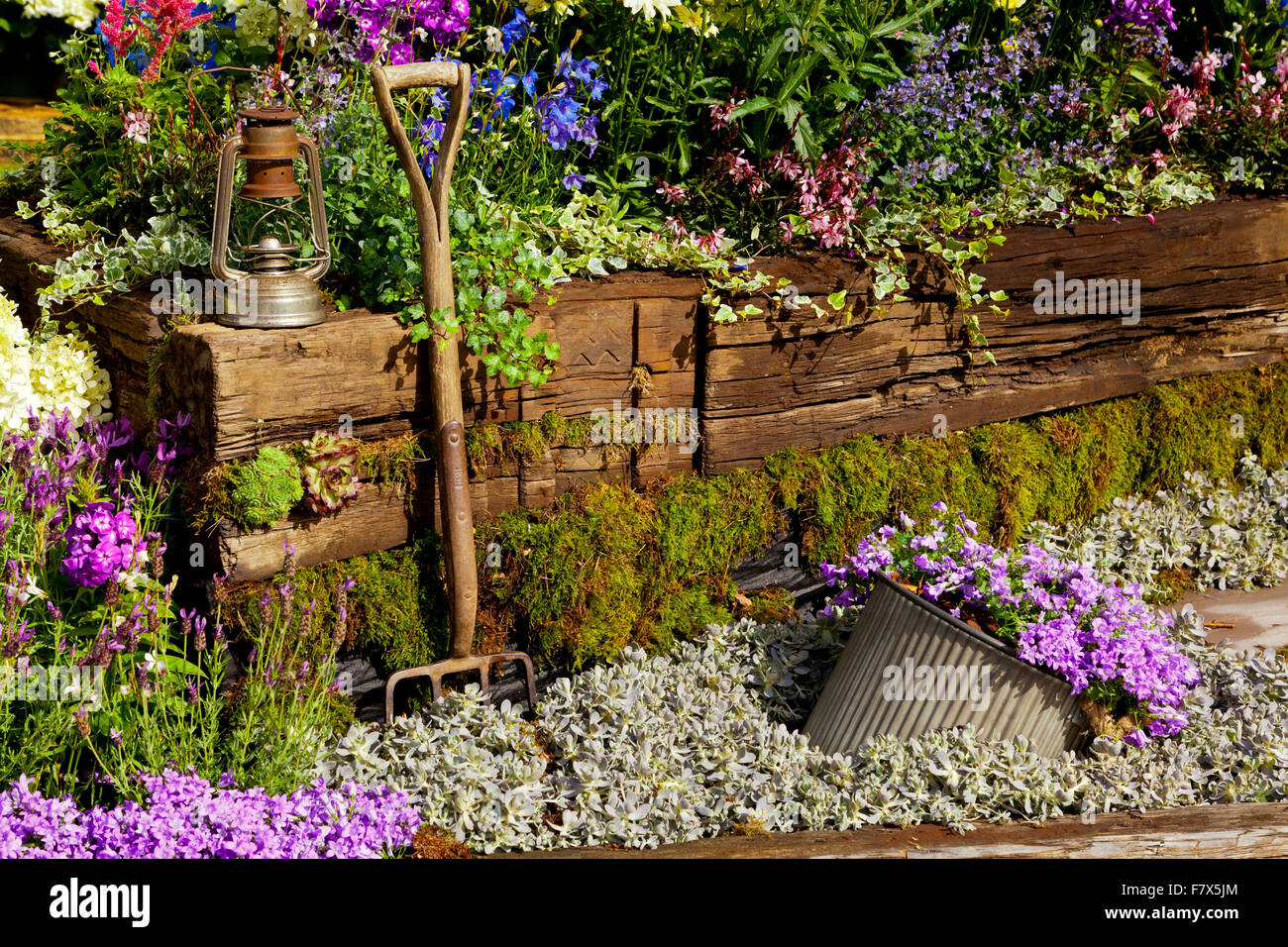 Nahaufnahme der Schaugarten bei RHS Tatton Flower Show in der Nähe von Manchester England UK mit Gabel und Blumen in Hochbeeten aus Holz Stockfoto