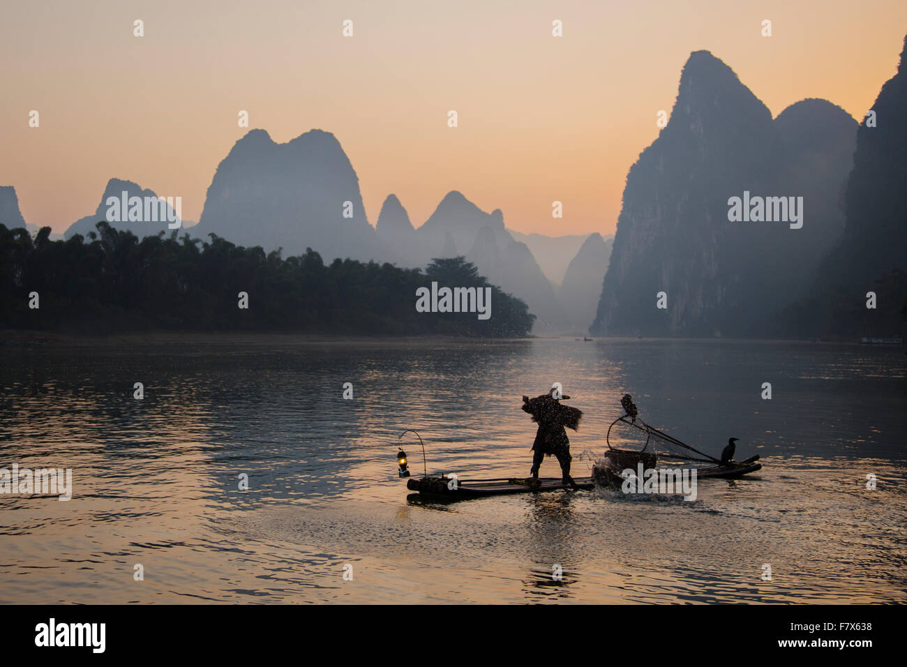 Kormoran Fischer am Fluss Li Guilin Region Guangxi, China LA008373 Stockfoto