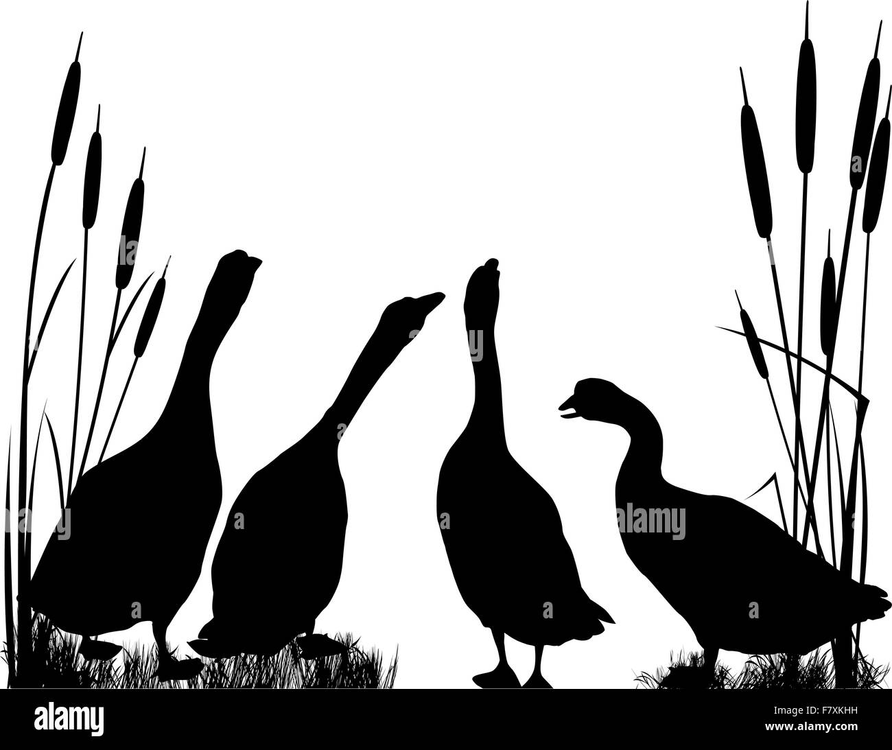 Gänse-Silhouetten Stock Vektor