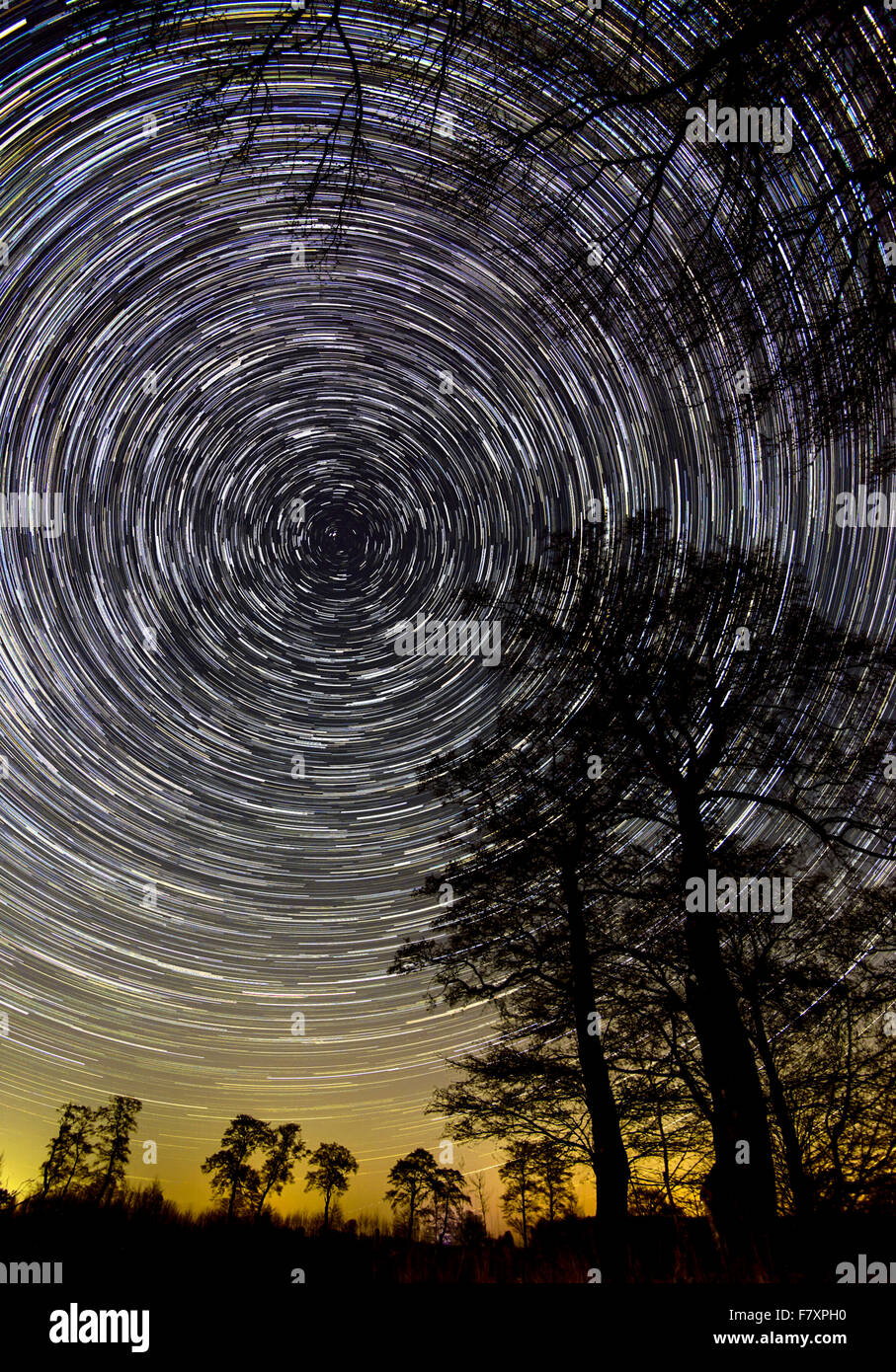 Sternenhimmel mit Bäumen, Niedersachsen, Deutschland – montage Stockfoto