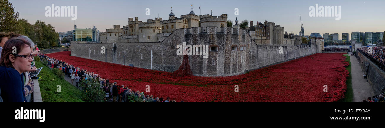 Meer der Mohn auf den Tower of London bei Sonnenuntergang Stockfoto