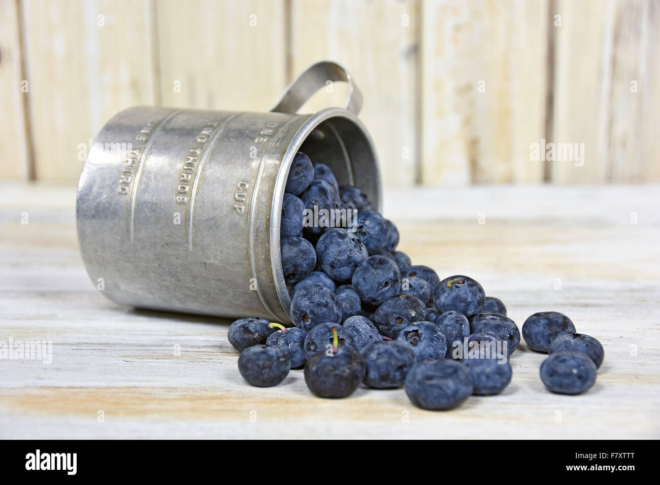 Reife Heidelbeeren aus der Retro-Dose Messbecher auf weiß getünchten Holz. Stockfoto