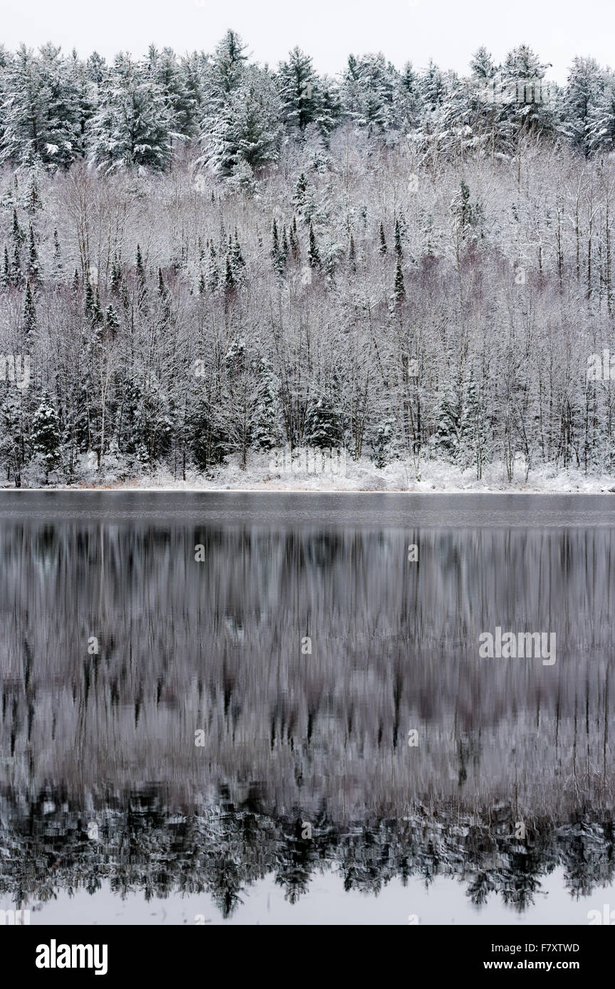 Stille Wasser reflektieren Winter Wälder an seinem Rand.  Leichter Schnee bedeckt graue November-Himmel.  Wälder auf dem Wasser gespiegelt. Stockfoto