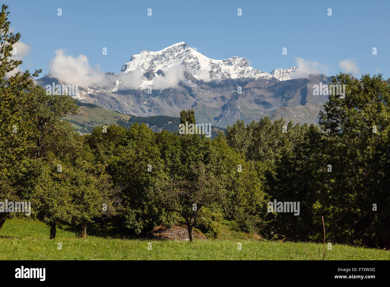Hochgebirgs-Landschaft in den italienischen Alpen. Stockfoto