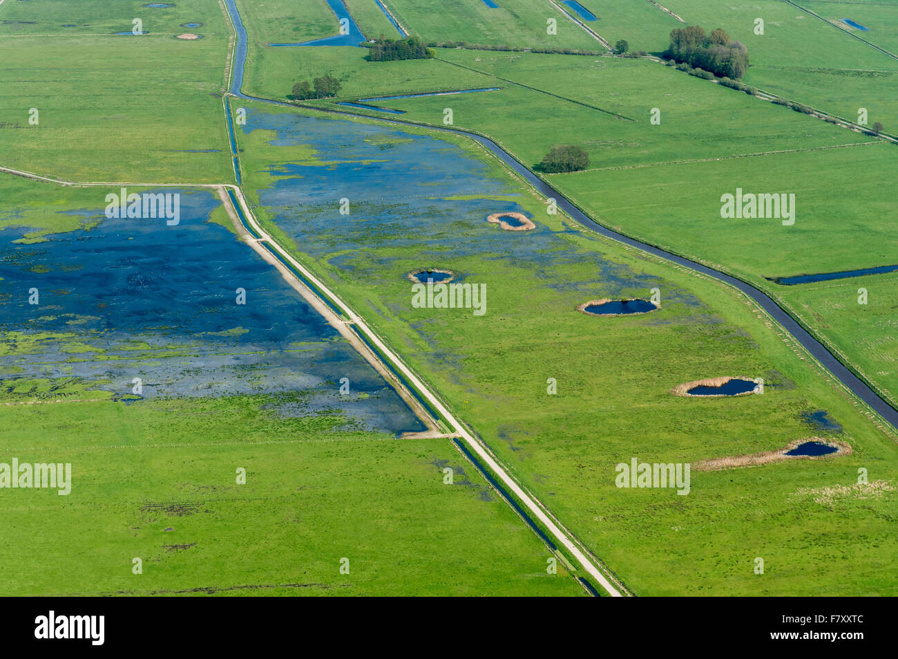 Luftbild auf Sumpfgebiet in der Nähe von See Dümmer, Landkreis Vechta, Niedersachsen, Deutschland Stockfoto