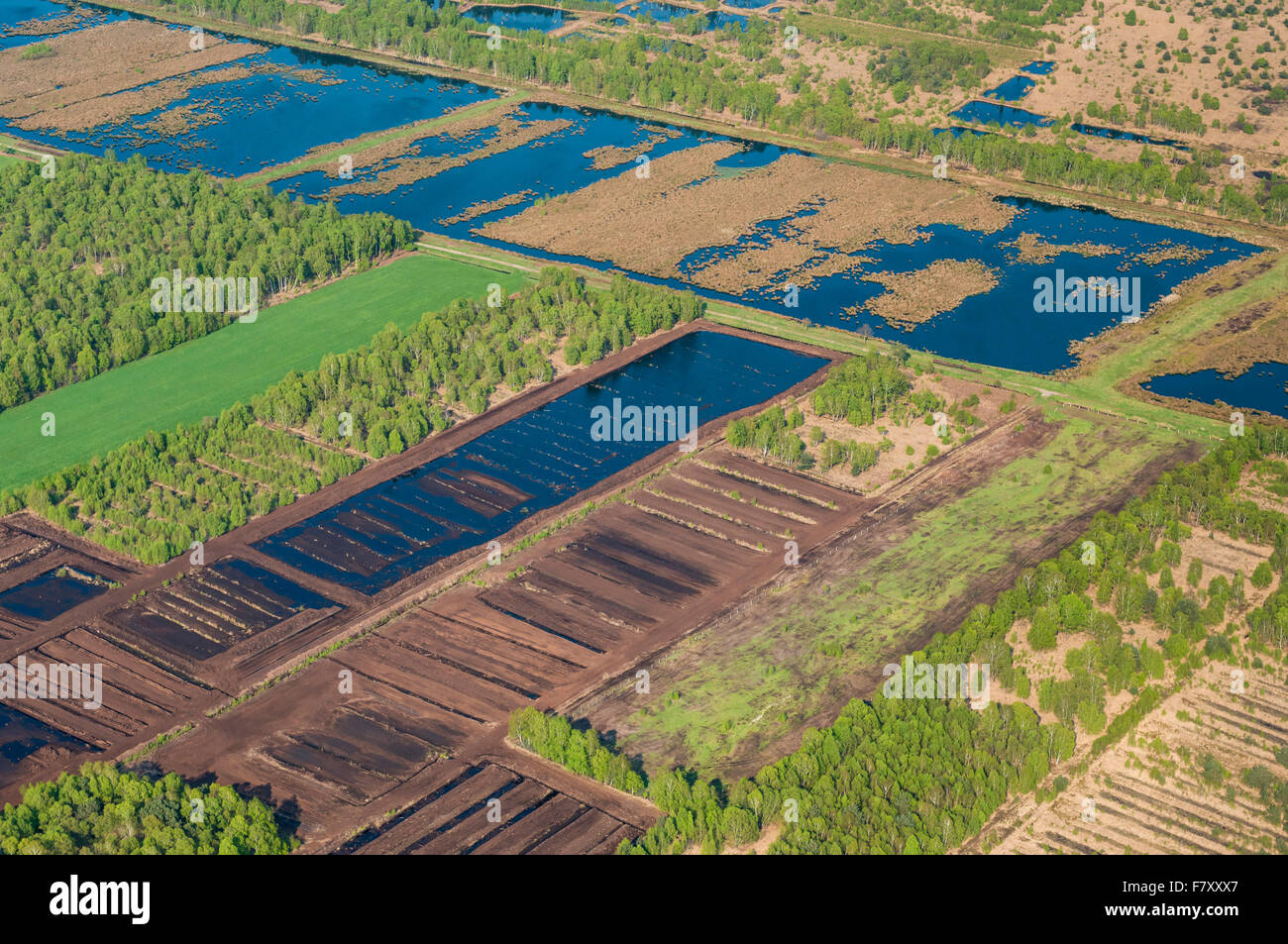 Renaturierung im Steinfelder Moor, Landkreis Vechta, Niedersachsen, Deutschland Stockfoto