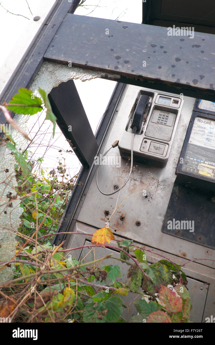 BT-öffentliche Telefonzelle mit zerschlagenen Glas und überwucherten Brombeeren im ländlichen Herefordshire UK Stockfoto