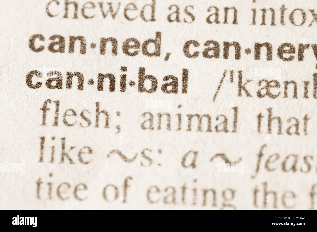 Definition des Wortes Kannibale im Wörterbuch Stockfoto
