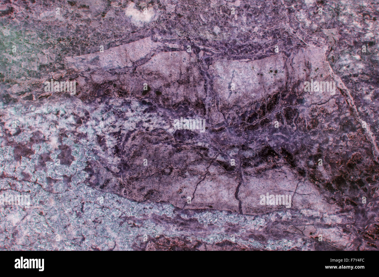 MARLE STONES AND BONES lila main image 1