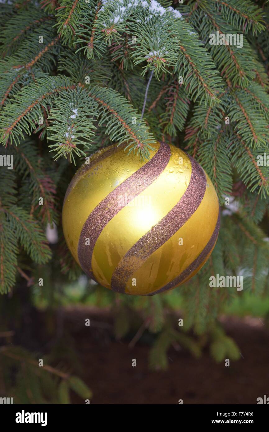 Gold und braun Ornament auf einem Baum Stockfoto