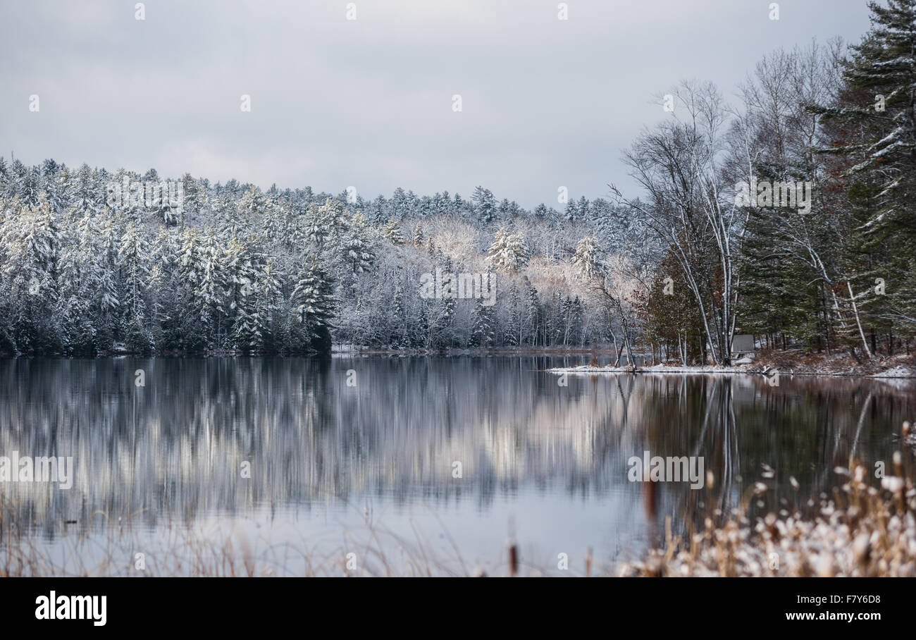 Stille Wasser reflektieren Winter Wälder an seinem Rand.  Leichter Schnee bedeckt graue November-Himmel.  Wälder auf dem Wasser gespiegelt. Stockfoto
